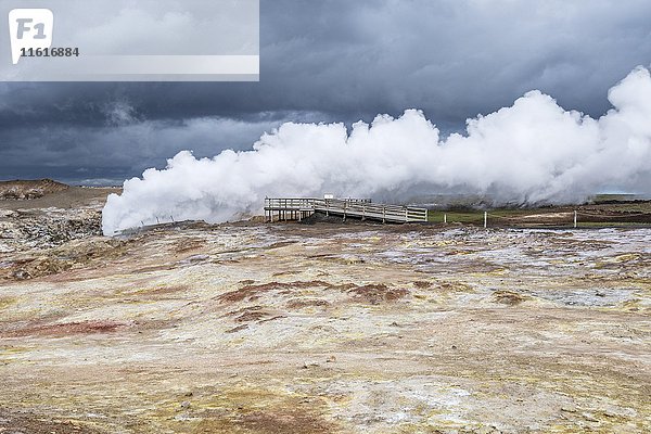 Wasserdampf  der aus einem Loch austritt  Geothermalgebiet Gunnuhver  Reykjanesskagi  Island  Europa