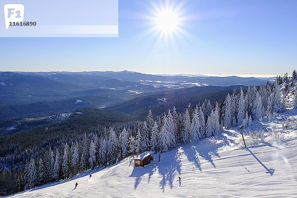 Skipiste  Großer Arber  Bayerischer Wald  Niederbayern  Bayern  Deutschland  Europa