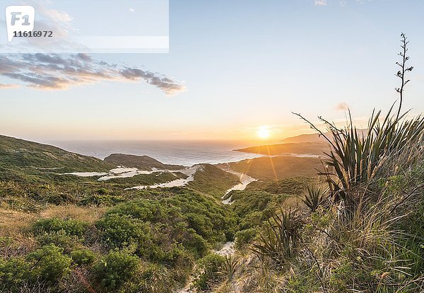 Sonnenuntergang über dem Meer  Sanddünen  Sandfly Bay  Dunedin  Otago  Otago Peninsula  Southland  Neuseeland  Ozeanien