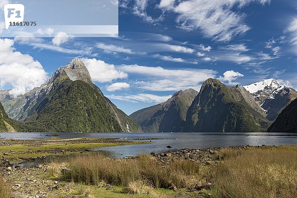 Mitre Peak und Mount Kimberley im Milford Sound  Fiordland National Park  Southland  Neuseeland  Ozeanien