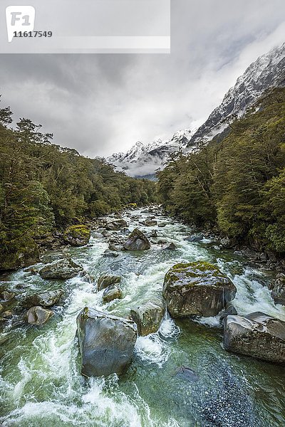 Hollyford Fluss mit schneebedeckten Bergen  Whakatipu Ka Tuka  Fiordland National Park  Te Anau  Southland Region  Southland  Neuseeland  Ozeanien