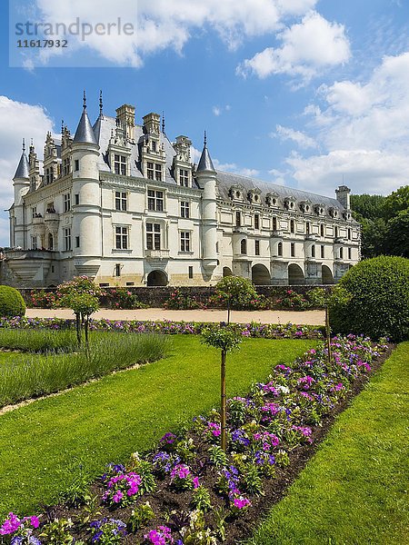 Schloss Chenonceau am Cher  das Château de Chenonceau  Departement Chenonceaux  Indre-et-Loire  Region Mitte  Frankreich  Europa