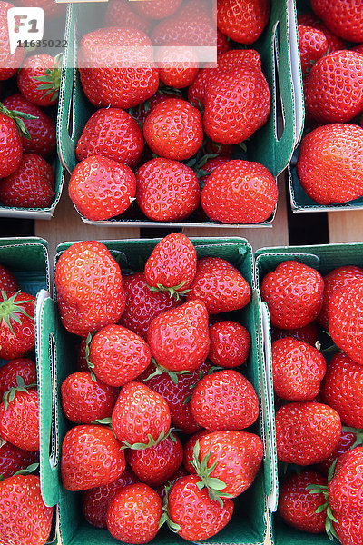 Frische Stawberries auf einem Straßenmarkt.