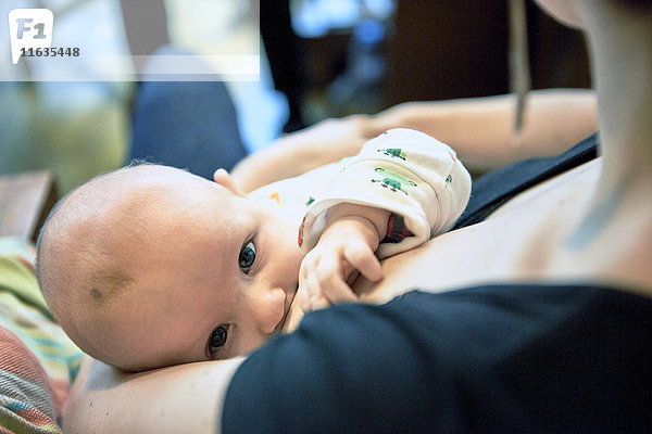 Reportage über eine Hebamme in Lyon  Frankreich. 3 Monate altes Baby  das von seiner Mutter gesäugt wird.