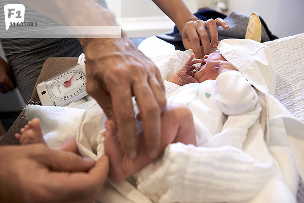 Reportage über eine Hebamme in Lyon  Frankreich. Wiegen eines 7 Tage alten Babys in einer Tasche mit Babywaage.