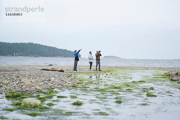 Vater und Söhne fotografieren am Strand  Pacific Rim National Park  Vancouver Island  Kanada