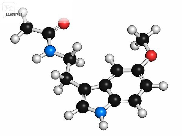 Hormonmolekül Melatonin. Beim Menschen spielt es eine Rolle bei der Synchronisation des zirkadianen Rhythmus. Atome werden als Kugeln mit herkömmlicher Farbkodierung dargestellt: Wasserstoff (weiß)  Kohlenstoff (grau)  Sauerstoff (rot)  Stickstoff (blau).