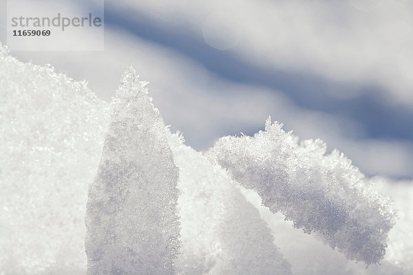 Nahaufnahme von Schnee-Eiskristallen