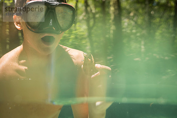 Teenager-Junge mit Schnorchel  der eine gemeine Schnappschildkröte hält  Econfina Creek  Youngstown  Florida  USA