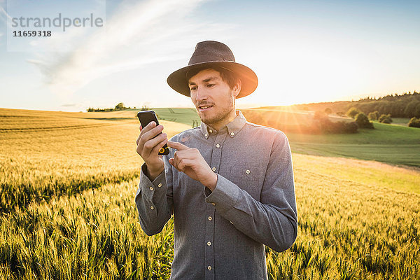 Mittelgroßer erwachsener Mann  im Feld stehend  mit Smartphone  Neulingen  Baden-Württemberg  Deutschland