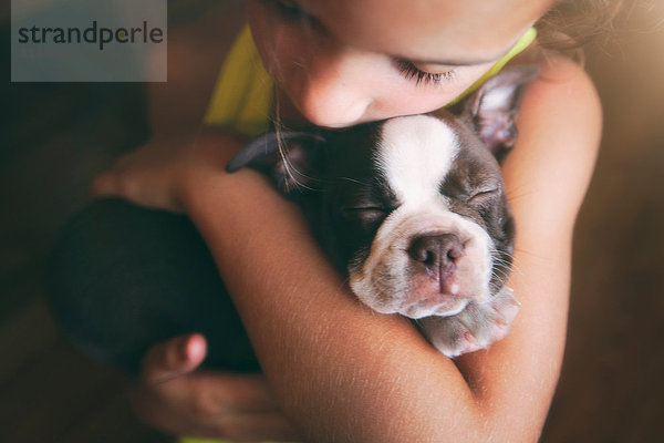 Mädchen umarmt Boston-Terrier-Welpen