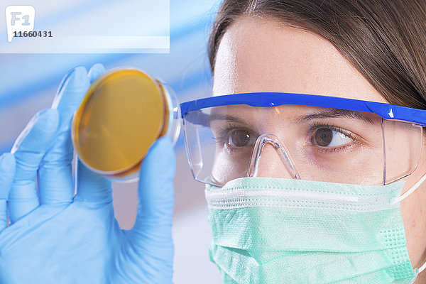 Eine Wissenschaftlerin mit Maske und Schutzbrille untersucht eine Petrischale.