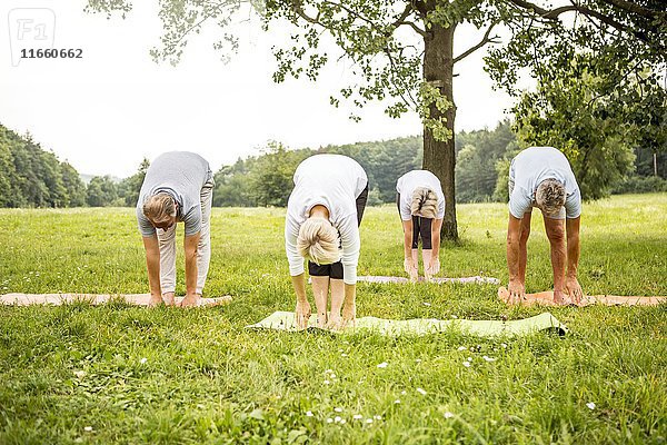 Vier Menschen machen Yoga auf einem Feld.