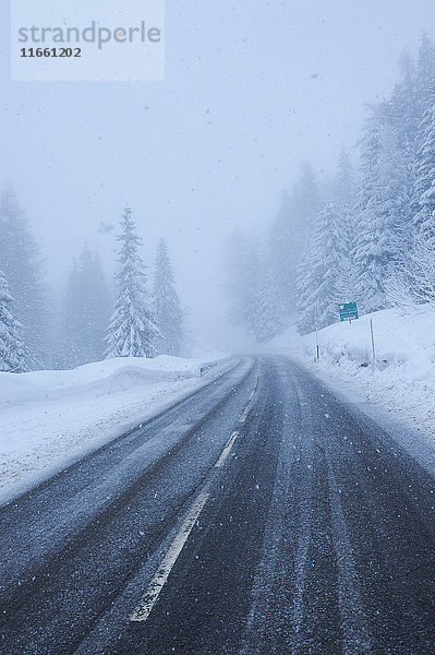 Ländliche Waldstrasse bei Schneefall  Gstaad  Schweiz