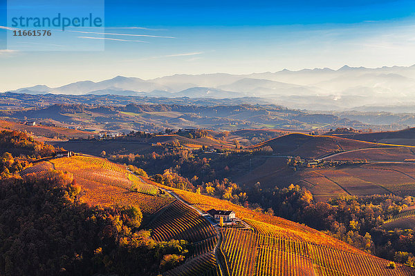 Blick vom Heißluftballon auf die hügelige Landschaft und die herbstlichen Weinberge  Langhe  Piemont  Italien