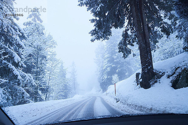 Windschutzscheibenansicht einer schneebedeckten ländlichen Forststraße  Gstaad  Schweiz