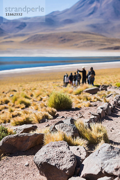 Menschen besuchen den Miscanti-See  San Pedro de Atacama  Chile