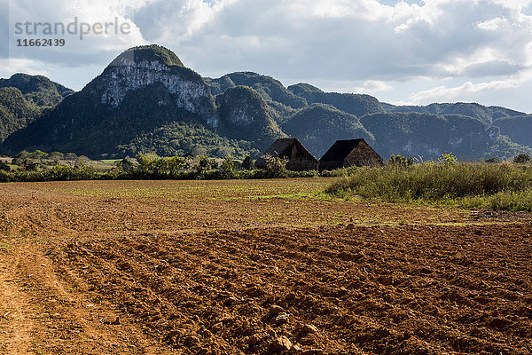 Gepflügtes Feld mit Berglandschaft  Vinales  Kuba