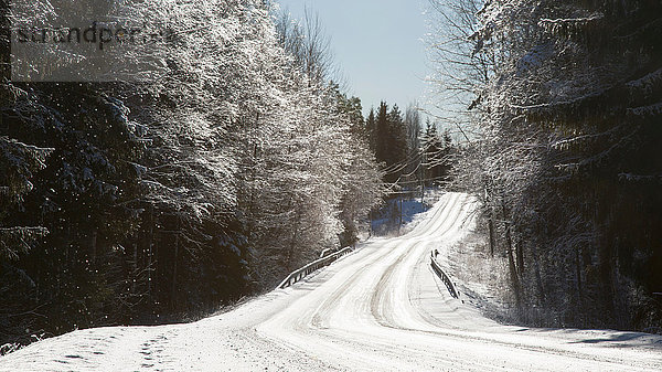 Ländliche schneebedeckte Straße durch den Wald