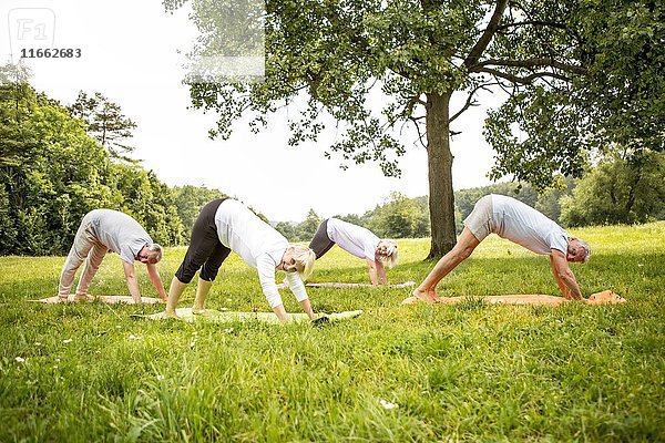 Vier Menschen machen Yoga auf einem Feld.