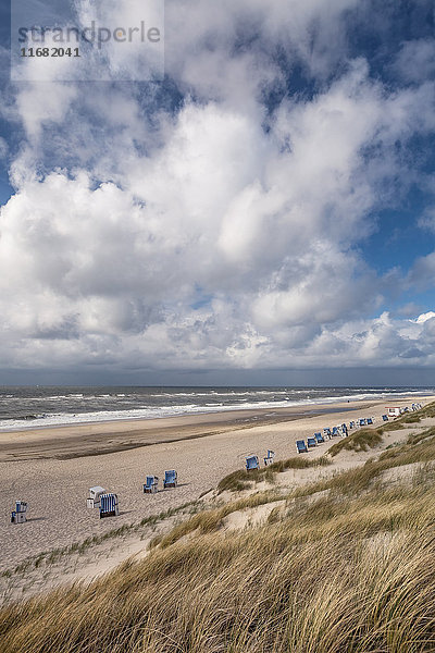 Düne und Strand  Sylt  Schleswig-Holstein  Deutschland  Europa