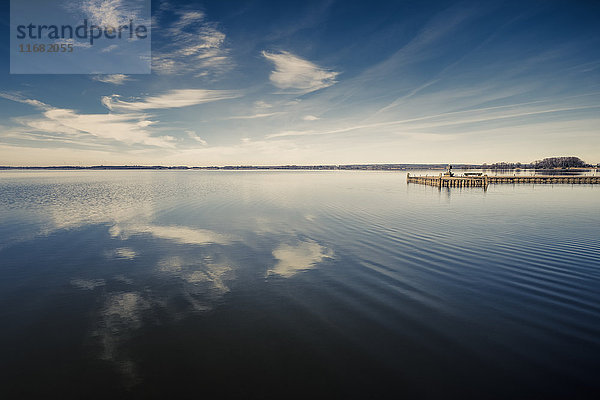 Duemmer See  Landkreis Diepholz  Niedersachsen  Deutschland  Europa