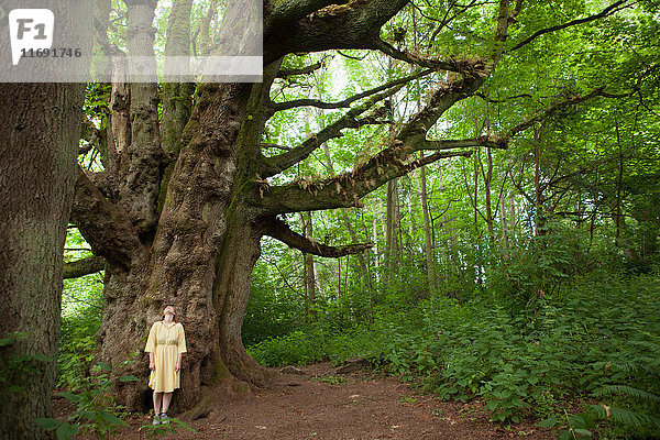 Junge Frau im Wald vor riesigem Baum