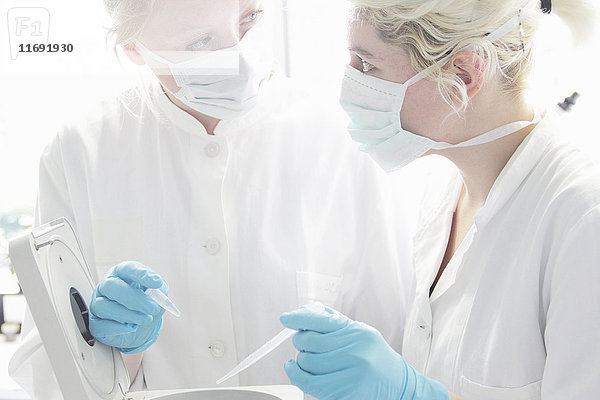 Wissenschaftler arbeiten im Labor zusammen