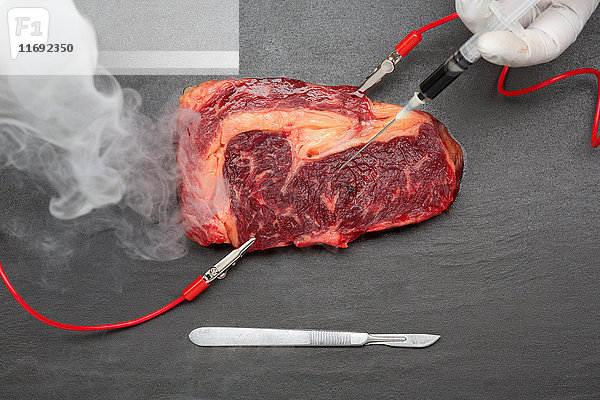 Wissenschaftlerin experimentiert mit Fleisch