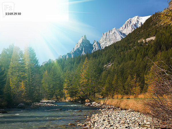 Ländliche Berge  Wald und Bach