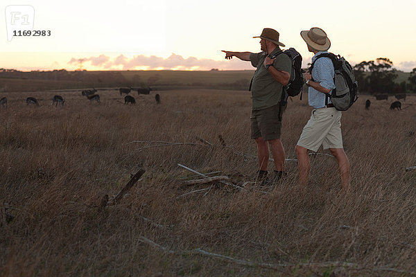 Menschen beobachten Wildtiere auf Safari  Stellenbosch  Südafrika