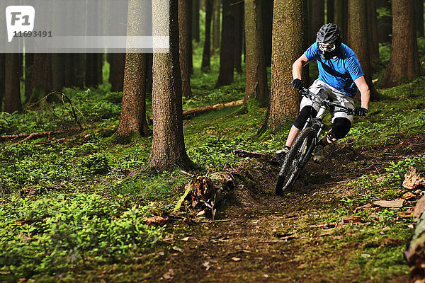 Männlicher Mountainbiker fährt durch Wälder