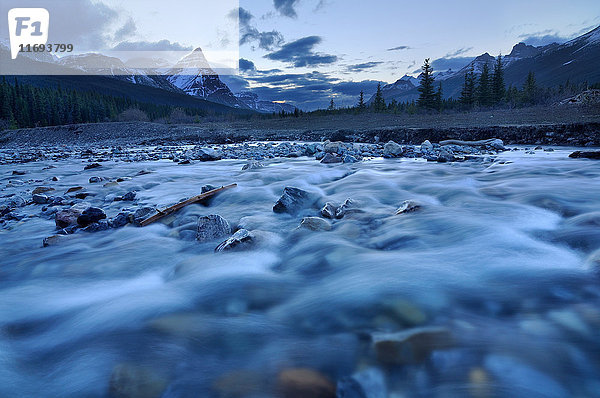 Silverhorn Creek  Banff-Nationalpark  Alberta  Kanada