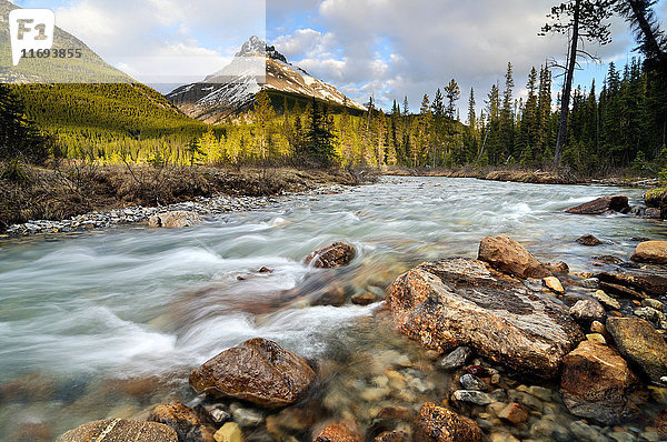 Silverhorn Creek und Mount Weed  Banff National Park  Alberta  Kanada