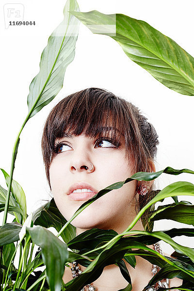 Porträt einer jungen Frau in einer Pflanze