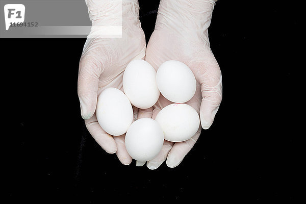 Eier haltende Hände mit Handschuhen
