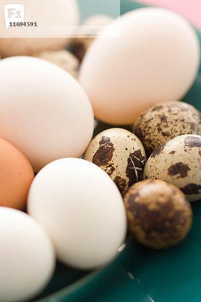 Nahaufnahme von verschiedenen bunten Eiern
