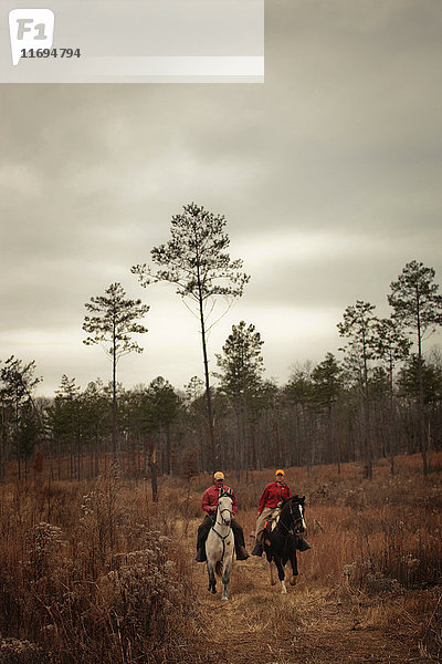 Zwei Jäger zu Pferd