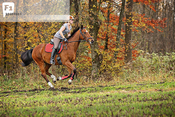 Frau reitet Pferd im Wald