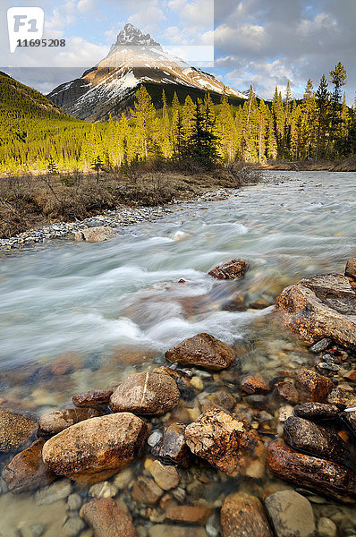 Silverhorn Creek und Mount Weed  Banff National Park  Alberta  Kanada