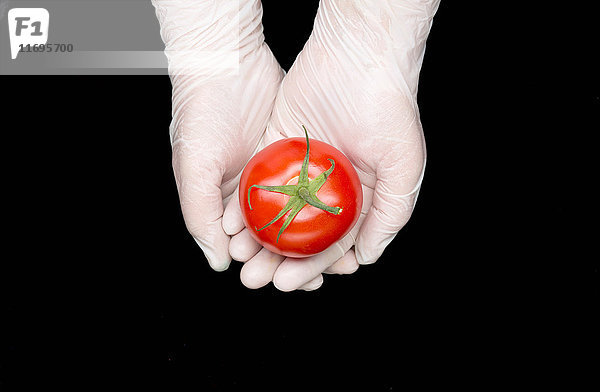 Hände mit Handschuhen halten Tomate