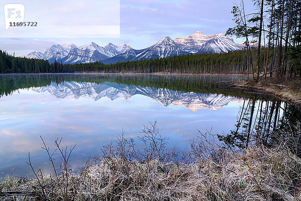 Herbert Lake and Bow Range  Banff-Nationalpark  Alberta  Kanada