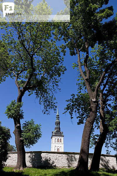 Kirchturm von der Stadtmauer aus gesehen