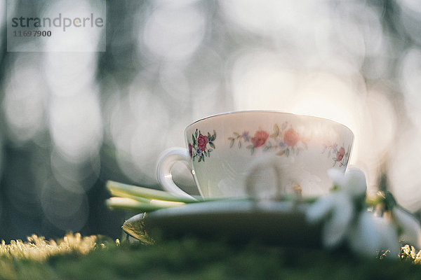 Niedriger Blickwinkel von Teetasse und Blume auf Moos