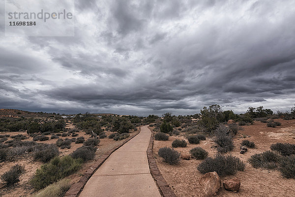 Pfad unter Wolken im Arches National Park  Moab  Utah  Vereinigte Staaten