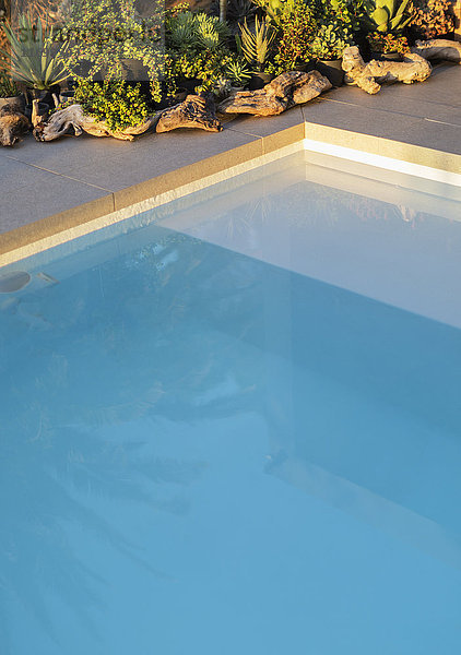 Spiegelung einer Palme in einem ruhigen blauen Schwimmbecken