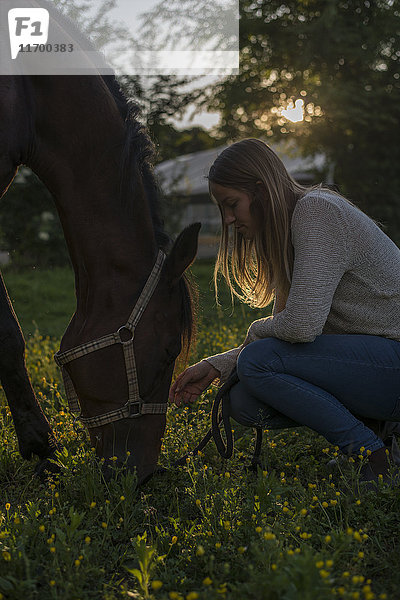 Junge Frau mit Pferd auf der Wiese bei Sonnenuntergang