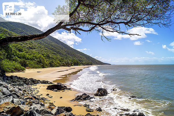 Australien  Queensland  Küstenlandschaft