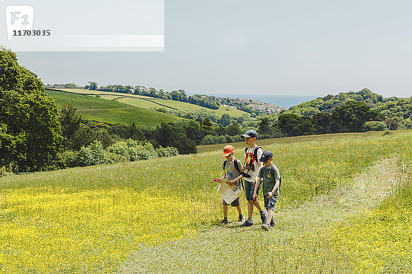 Großbritannien  England  Cornwall  drei Jungen  die auf der Wiese spazieren gehen.