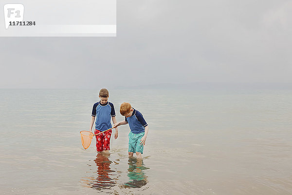 Zwei Jungen mit Dip-Netz im Meer